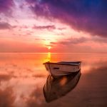 الهجرة ظاهرة وواقع
